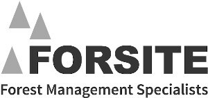 Forsite-Consultants-Grey-Logo.jpg